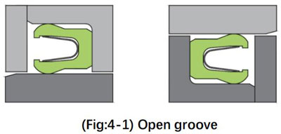 spring energized seal