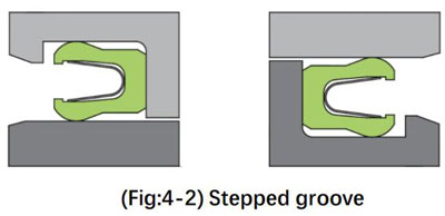 spring energized lip seal 