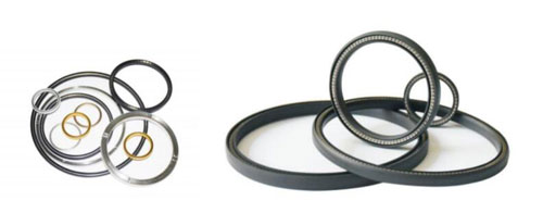 spring energized seal